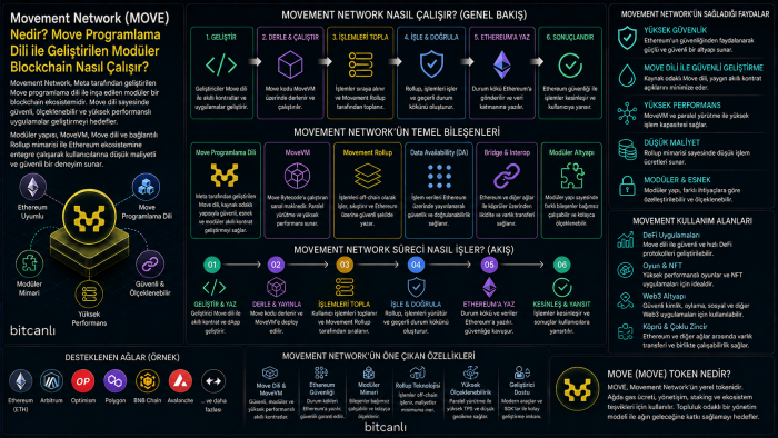 Movement Network (MOVE) Nedir? Move Programlama Dili ile Geliştirilen Modüler Blockchain Nasıl Çalışır?